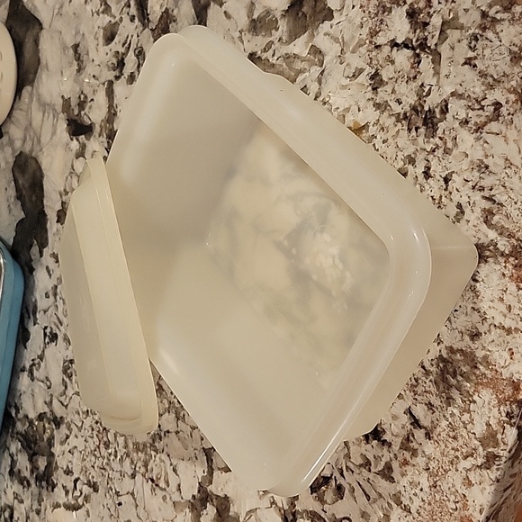 Vintage Ice Cream Container with Snap On Carrying Case 1990's - Picture 3 of 4